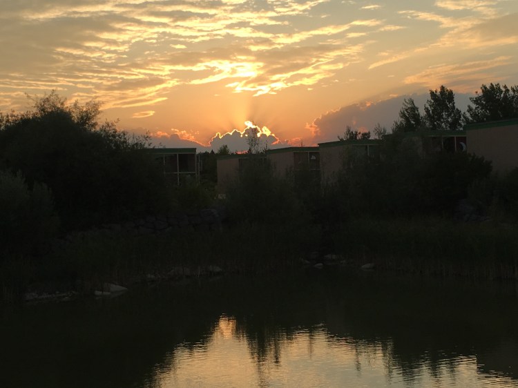 8A7638A6-7F00-4736-B3AF-D5003235D6B2