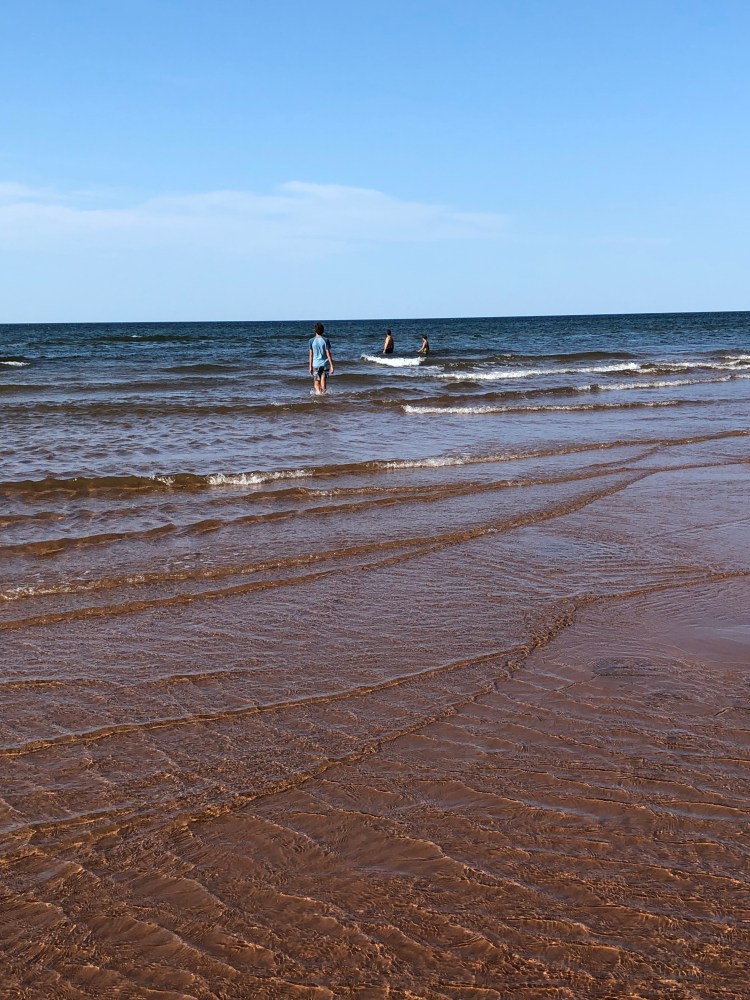 FA5C42DB-2CAB-485D-87E8-D6C701AE0618